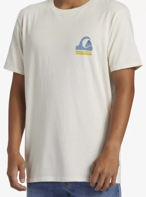 Mens Quiksilver Tees | Andy Y Andy T-Shirt