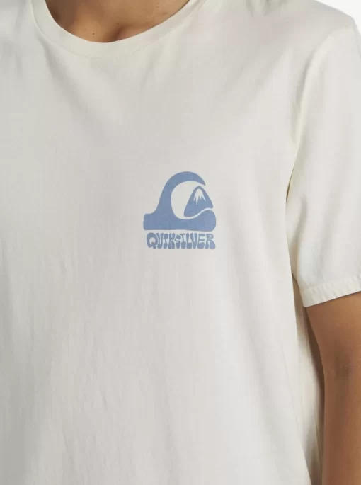 Mens Quiksilver Tees | Andy Y Andy T-Shirt