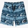 Mens Quiksilver Boardshorts | Boy'S 2-7 Next Gen 12