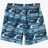 Mens Quiksilver Boardshorts | Boy'S 2-7 Next Gen 12