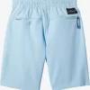 Boys Quiksilver Shorts | Boy'S 2-7 Ocean Elastic Waist 14