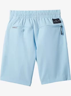 Boys Quiksilver Shorts | Boy'S 2-7 Ocean Elastic Waist 14" Amphibian Boardshorts