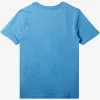 Boys Quiksilver Tees | Boy'S 8-16 Comp Logo T-Shirt