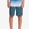 Boys Quiksilver Shorts | Boys 8-16 Everyday Division 17