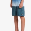 Boys Quiksilver Shorts | Boys 8-16 Everyday Division 17