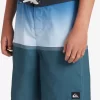 Boys Quiksilver Shorts | Boys 8-16 Everyday Division 17