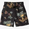 Mens Quiksilver Boardshorts | Boy'S 8-16 Everyday Mix 12