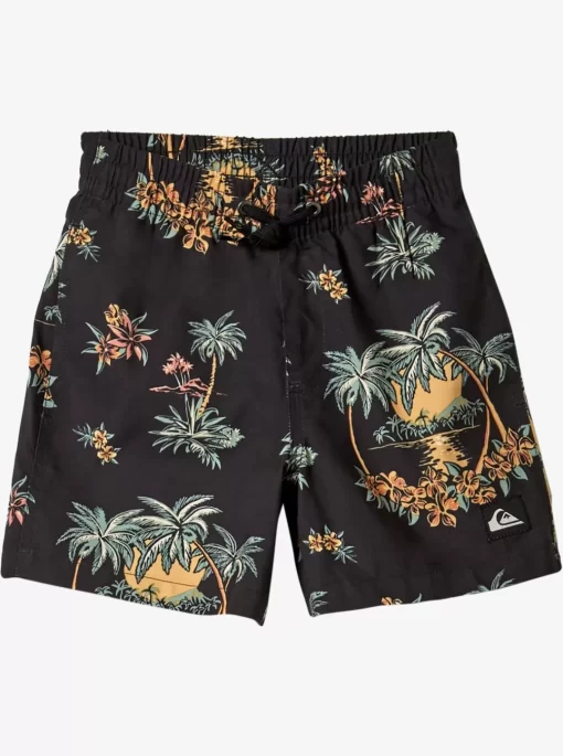 Mens Quiksilver Boardshorts | Boy'S 8-16 Everyday Mix 12" Volleys