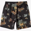 Mens Quiksilver Boardshorts | Boy'S 8-16 Everyday Mix 12