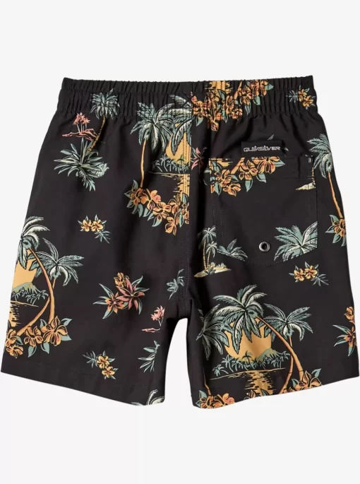 Mens Quiksilver Boardshorts | Boy'S 8-16 Everyday Mix 12" Volleys