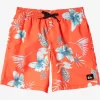 Mens Quiksilver Boardshorts | Boy'S 8-16 Everyday Mix Vl 15Nb Elastic Waist Shorts