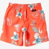 Mens Quiksilver Boardshorts | Boy'S 8-16 Everyday Mix Vl 15Nb Elastic Waist Shorts