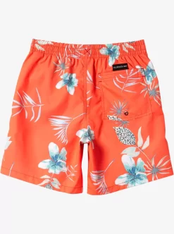 Mens Quiksilver Boardshorts | Boy'S 8-16 Everyday Mix Vl 15Nb Elastic Waist Shorts