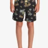 Mens Quiksilver Boardshorts | Boy'S 8-16 Everyday Mix Vl 15Nb Elastic Waist Shorts