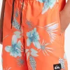 Mens Quiksilver Boardshorts | Boy'S 8-16 Everyday Mix Vl 15Nb Elastic Waist Shorts