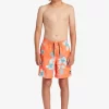 Mens Quiksilver Boardshorts | Boy'S 8-16 Everyday Mix Vl 15Nb Elastic Waist Shorts