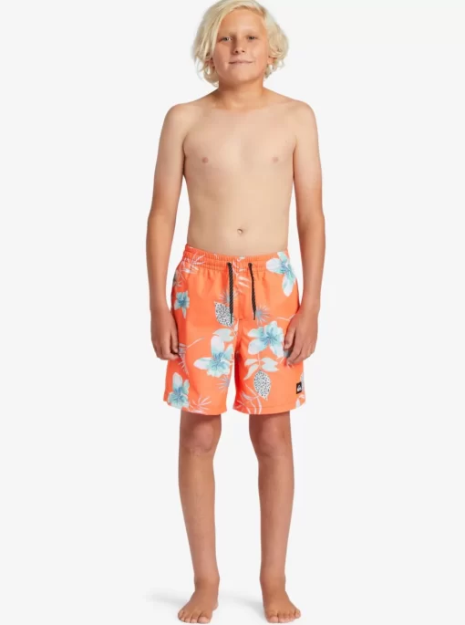 Mens Quiksilver Boardshorts | Boy'S 8-16 Everyday Mix Vl 15Nb Elastic Waist Shorts