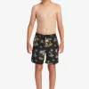 Mens Quiksilver Boardshorts | Boy'S 8-16 Everyday Mix Vl 15Nb Elastic Waist Shorts