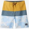 Boys Quiksilver Shorts | Boy'S 8-16 Everyday Panel 17