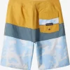 Boys Quiksilver Shorts | Boy'S 8-16 Everyday Panel 17