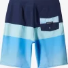 Boys Quiksilver Shorts | Boy'S 8-16 Everyday Panel 17