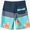 Boys Quiksilver Shorts | Boy'S 8-16 Everyday Panel 17