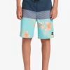 Boys Quiksilver Shorts | Boy'S 8-16 Everyday Panel 17