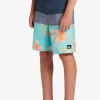 Boys Quiksilver Shorts | Boy'S 8-16 Everyday Panel 17