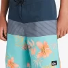 Boys Quiksilver Shorts | Boy'S 8-16 Everyday Panel 17