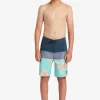 Boys Quiksilver Shorts | Boy'S 8-16 Everyday Panel 17