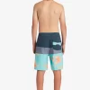 Boys Quiksilver Shorts | Boy'S 8-16 Everyday Panel 17