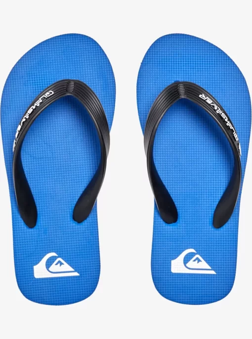 Boys Quiksilver Sandals | Boy'S 8-16 Molokai Core Flip-Flops