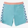 Boys Quiksilver Shorts | Boy'S 8-16 Original Arch 15