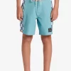 Boys Quiksilver Shorts | Boy'S 8-16 Original Arch 15