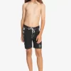 Boys Quiksilver Shorts | Boy'S 8-16 Original Arch 15