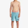 Boys Quiksilver Shorts | Boy'S 8-16 Original Arch 15