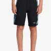 Boys Quiksilver Shorts | Boy'S 8-16 Surfsilk Radical Arch 16