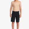 Boys Quiksilver Shorts | Boy'S 8-16 Surfsilk Radical Arch 16