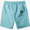 Boys Quiksilver Shorts | Boy'S 8-16 Taxer 15