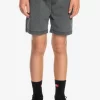 Boys Quiksilver Shorts | Boy'S 8-16 Taxer 15