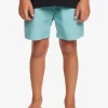 Boys Quiksilver Shorts | Boy'S 8-16 Taxer 15