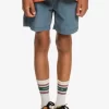 Boys Quiksilver Shorts | Boy'S 8-16 Taxer 15