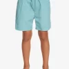 Boys Quiksilver Shorts | Boy'S 8-16 Taxer 15