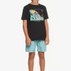 Boys Quiksilver Shorts | Boy'S 8-16 Taxer 15