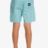 Boys Quiksilver Shorts | Boy'S 8-16 Taxer 15