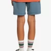 Boys Quiksilver Shorts | Boy'S 8-16 Taxer 15