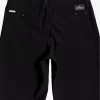 Boys Quiksilver Shorts | Boy'S 8-16 Union Amphibian 19