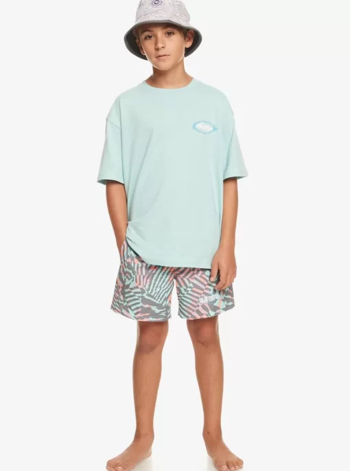 Boys Quiksilver Tees | Boy'S 8-16 Visions T-Shirt