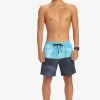 Mens Quiksilver Elastic Waist | Butt Logo 17