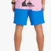 Mens Quiksilver Elastic Waist | Butt Logo 17